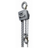 Palan manuel à chaîne 10/19