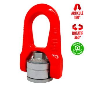 Anneau de levage à double articulation DSR Femelle