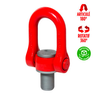 Anneau de levage à double articulation DSS mâle