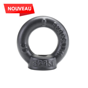 Anneau de levage femelle à haute résistance A056VN