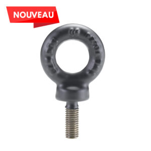 Anneau de levage à haute résistance noir type français A059VN