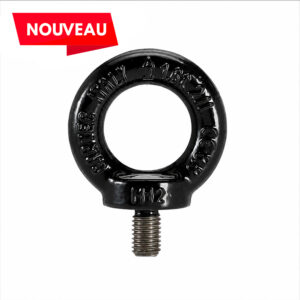 Anneau de levage noir DIN580 ALMN