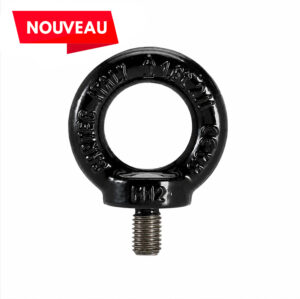 Anneau de levage noir DIN580 ALMN